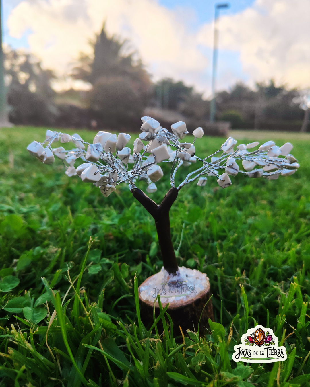 🤍✨ Arbolito Howlita