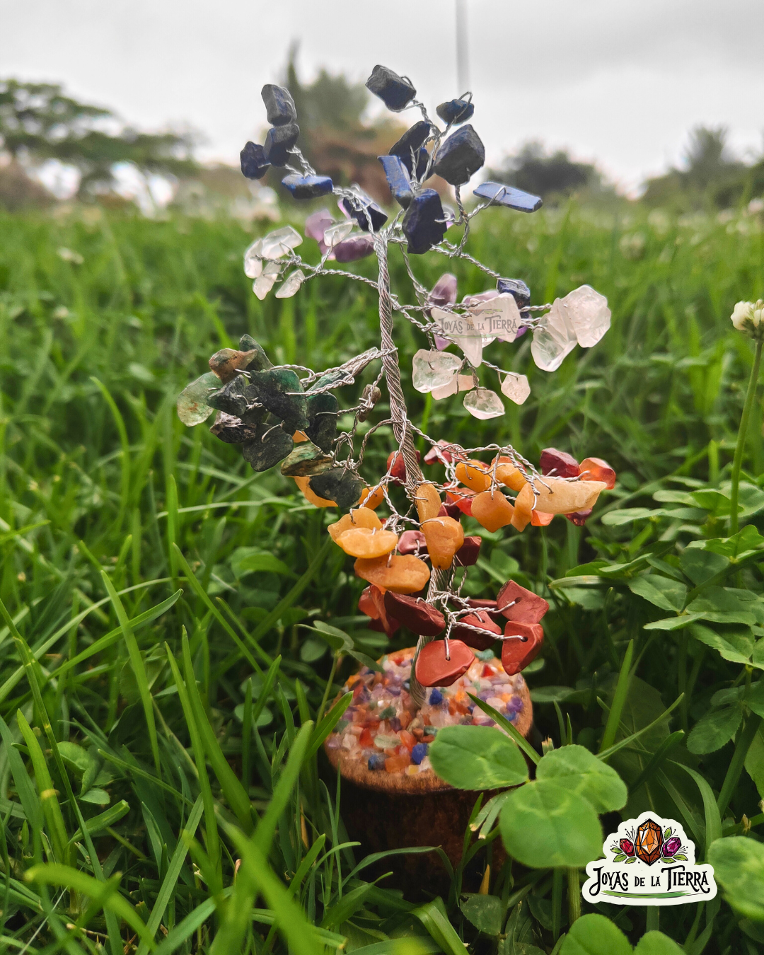 🌳✨ Arbolito 7 charkras