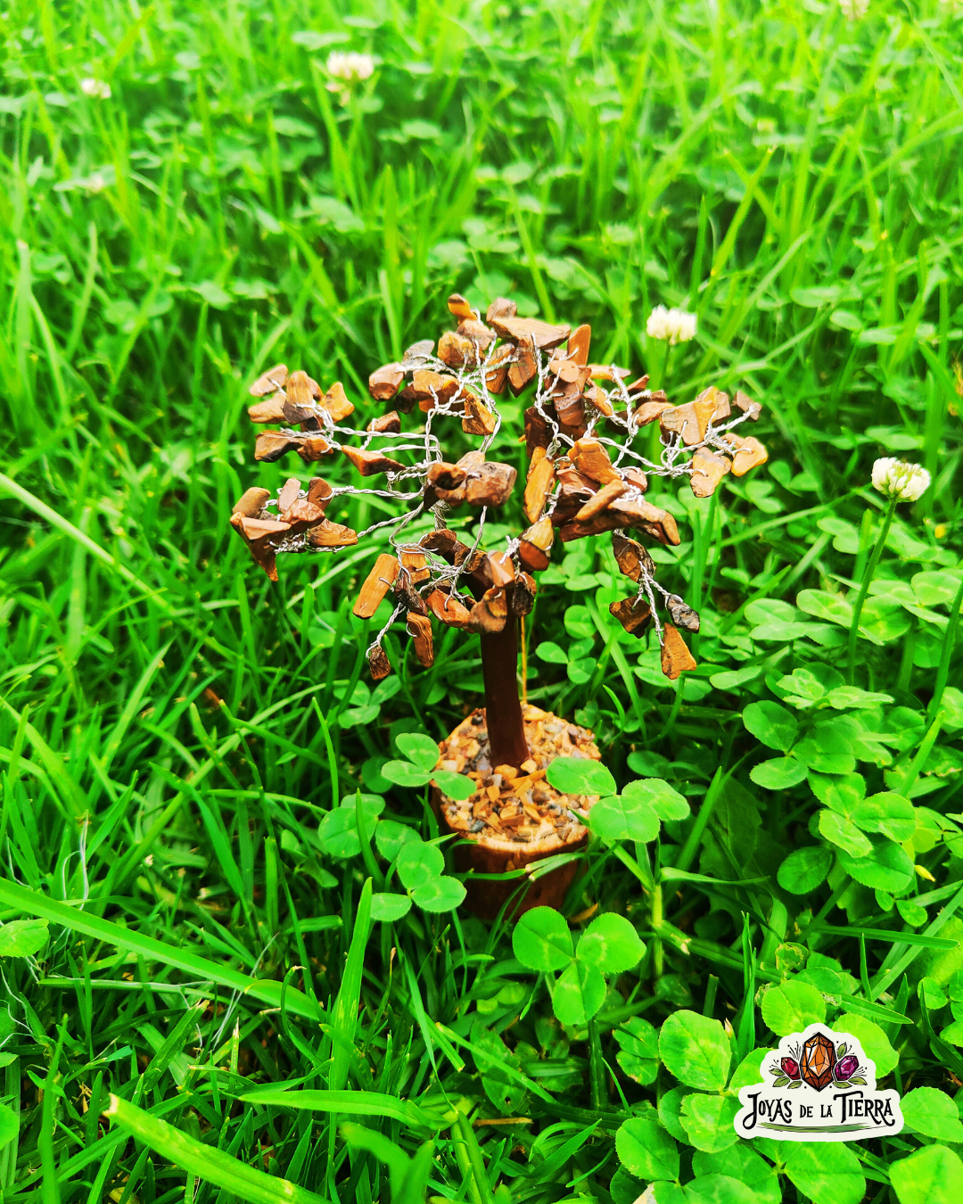 🌳 Arbolito Ojo de Tigre