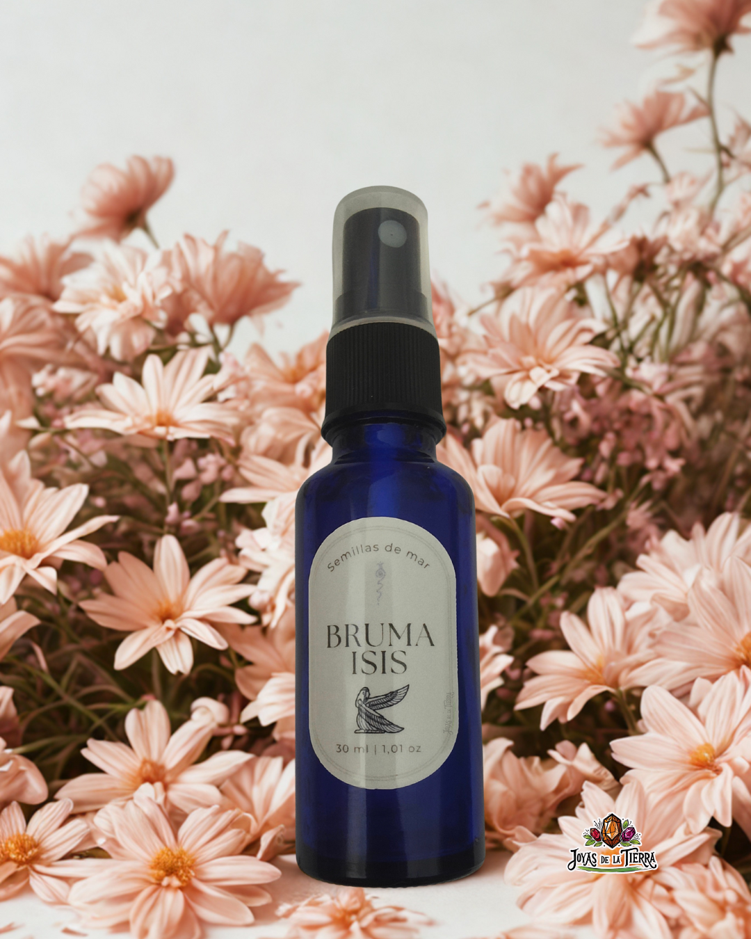 🌹 Bruma Isis · Abrazos de Luz y Nutrición 🌿