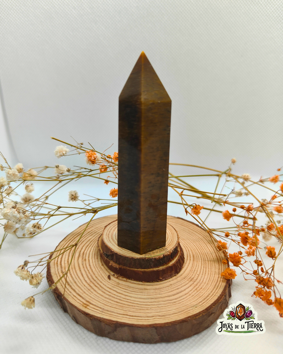 🐯✨ Punta de Ojo de Tigre – Fuerza, Protección y Enfoque Interior