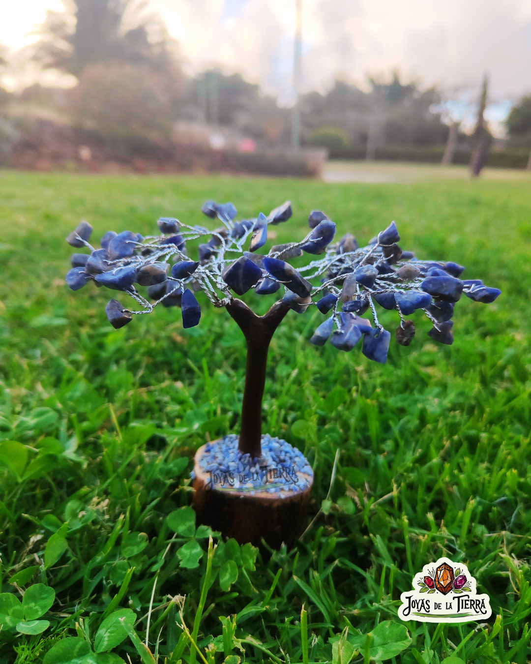 🔵✨Arbolito Lapislázuli