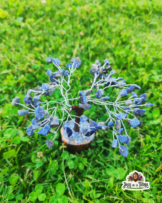 🔵✨Arbolito Lapislázuli