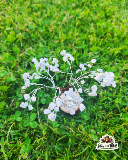 🤍✨ Arbolito Howlita