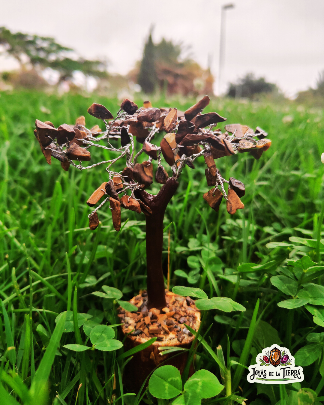 🌳 Arbolito Ojo de Tigre