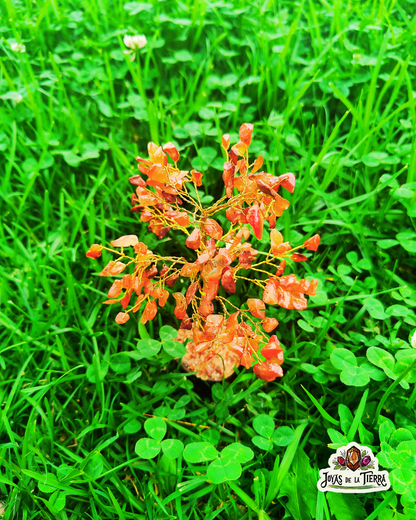 🌳 Árbol Cornalina