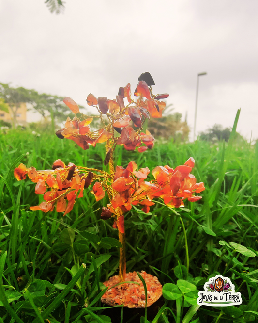 🌳 Árbol Cornalina