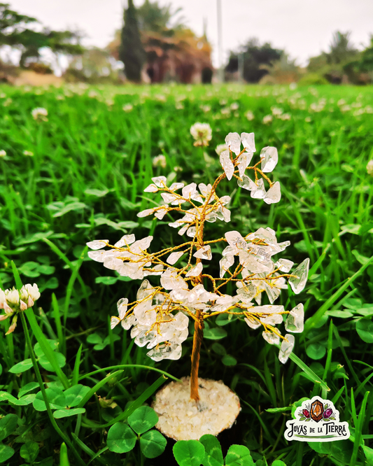 🌳 Árbol Cuarzo Blanco