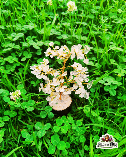 🌳 Árbol Cuarzo Blanco