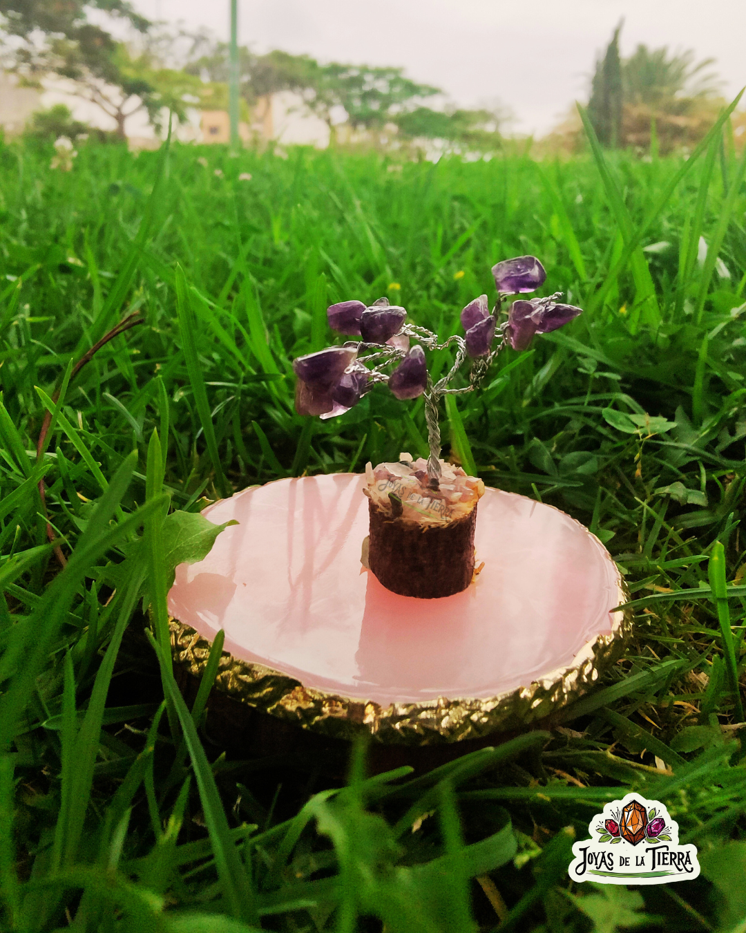 🌳 Mini Árboles Energéticos de 6 cm – Magia en miniatura