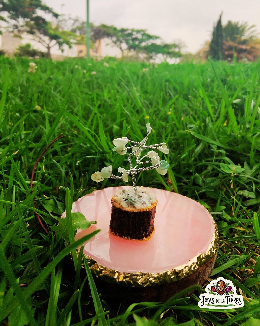 🌳 Mini Árboles Energéticos de 6 cm – Magia en miniatura