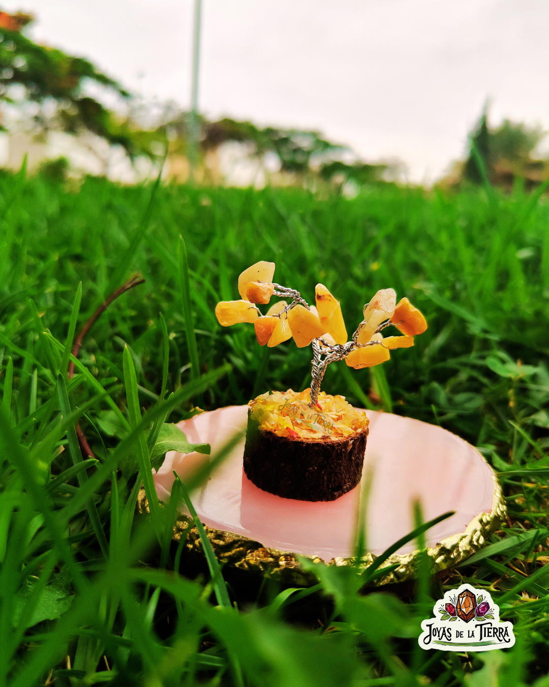 🌳 Mini Árboles Energéticos de 6 cm – Magia en miniatura