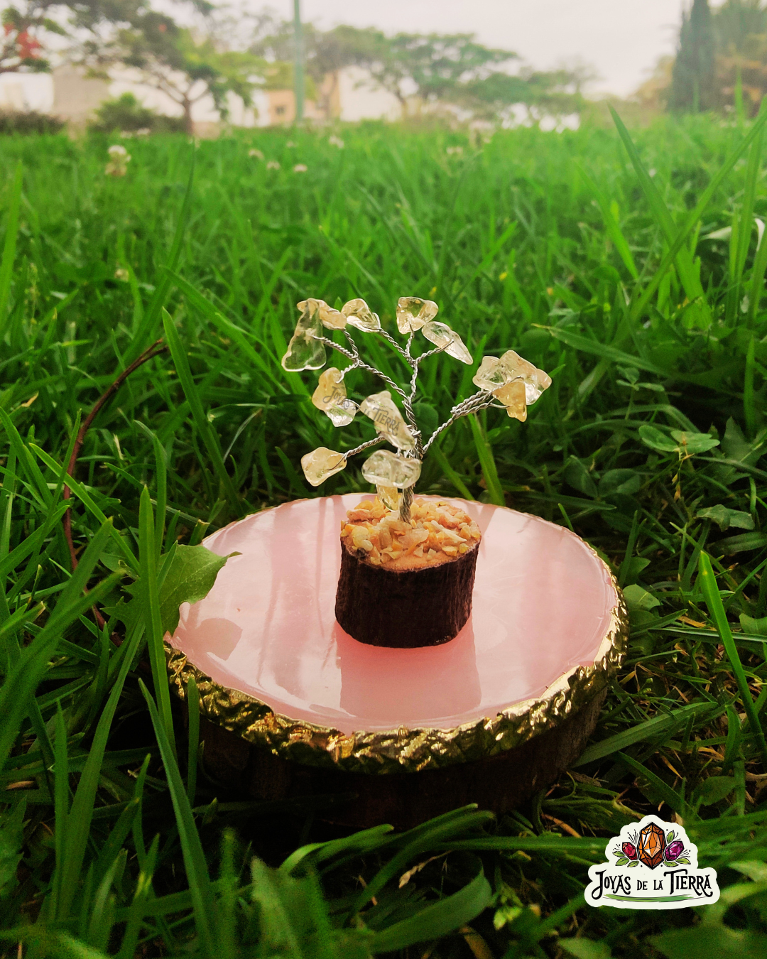 🌳 Mini Árboles Energéticos de 6 cm – Magia en miniatura