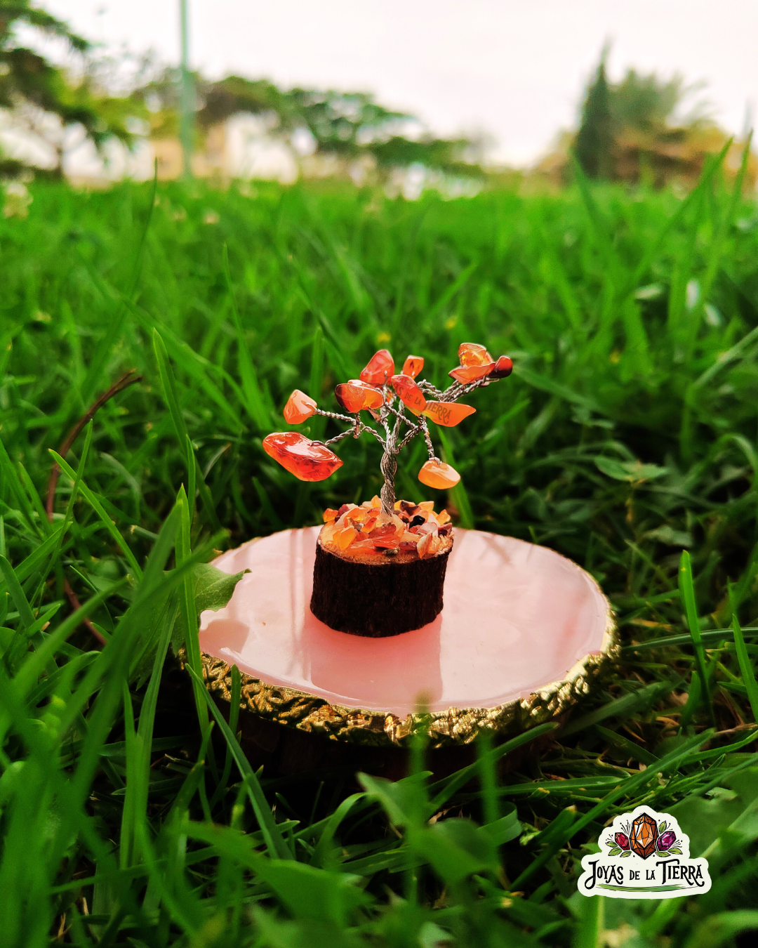 🌳 Mini Árboles Energéticos de 6 cm – Magia en miniatura