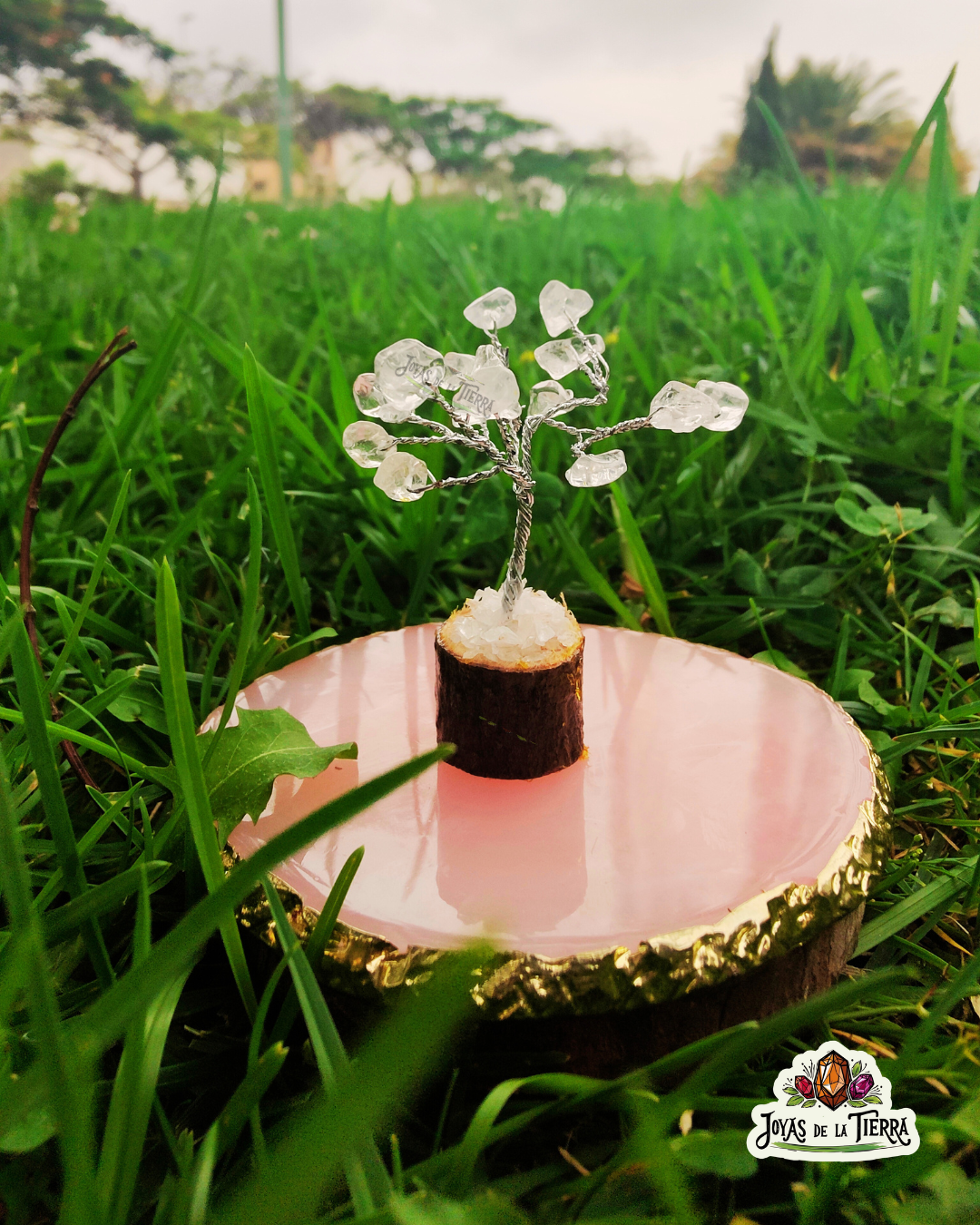 🌳 Mini Árboles Energéticos de 6 cm – Magia en miniatura