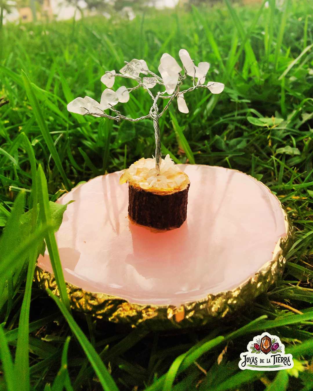 🌳 Mini Árboles Energéticos de 6 cm – Magia en miniatura