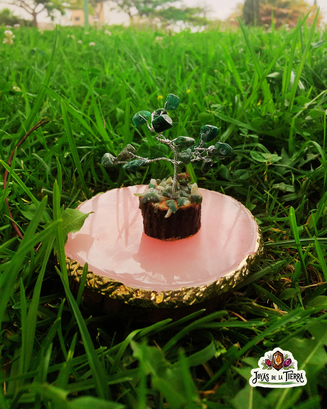 🌳 Mini Árboles Energéticos de 6 cm – Magia en miniatura