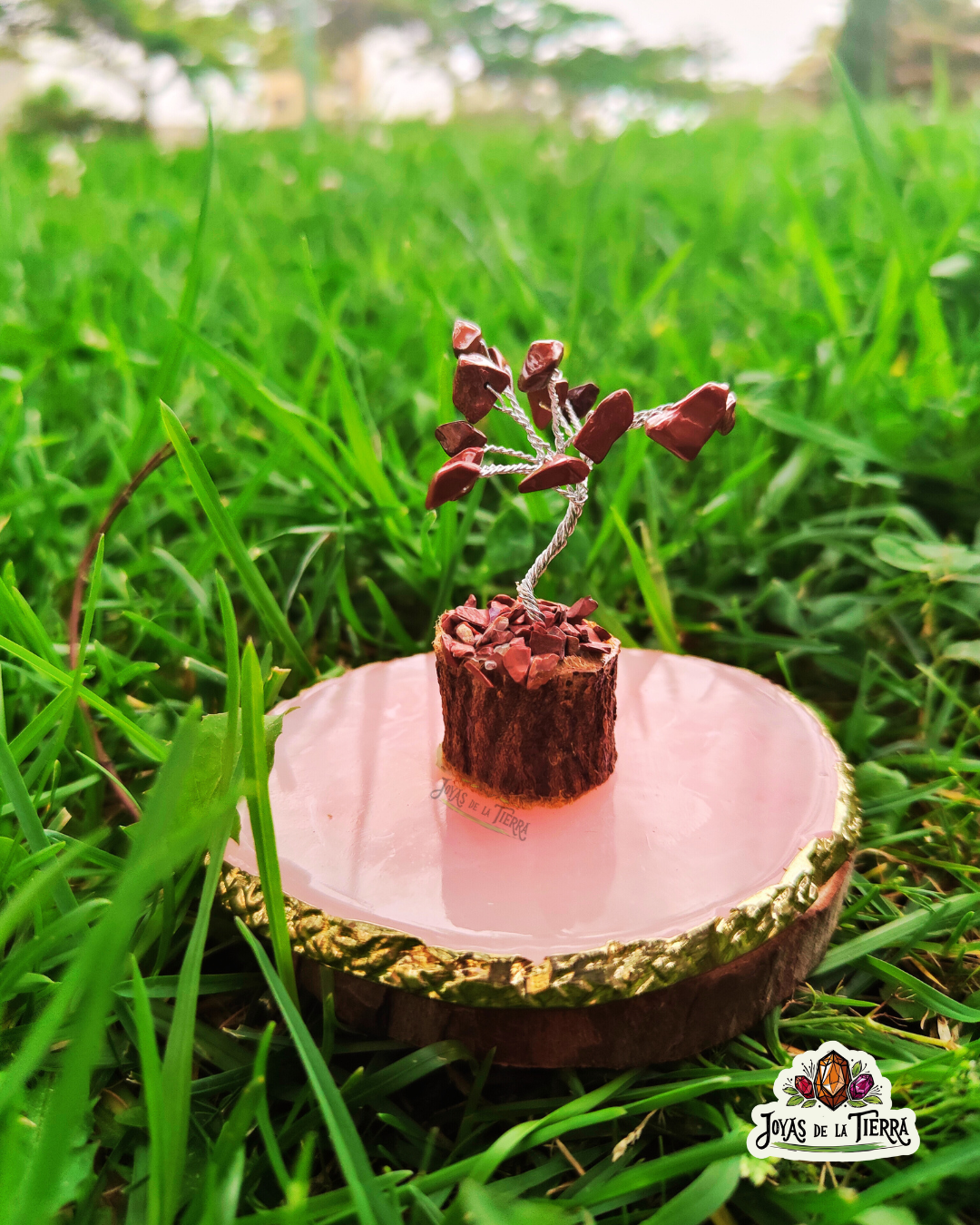 🌳 Mini Árboles Energéticos de 6 cm – Magia en miniatura