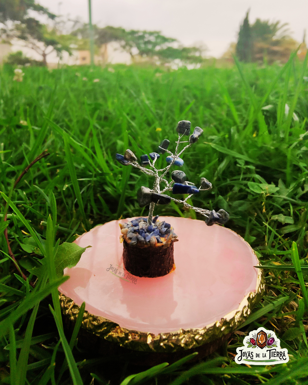 🌳 Mini Árboles Energéticos de 6 cm – Magia en miniatura