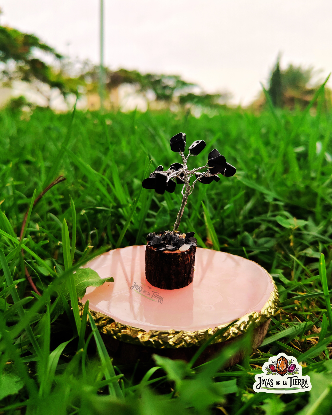 🌳 Mini Árboles Energéticos de 6 cm – Magia en miniatura