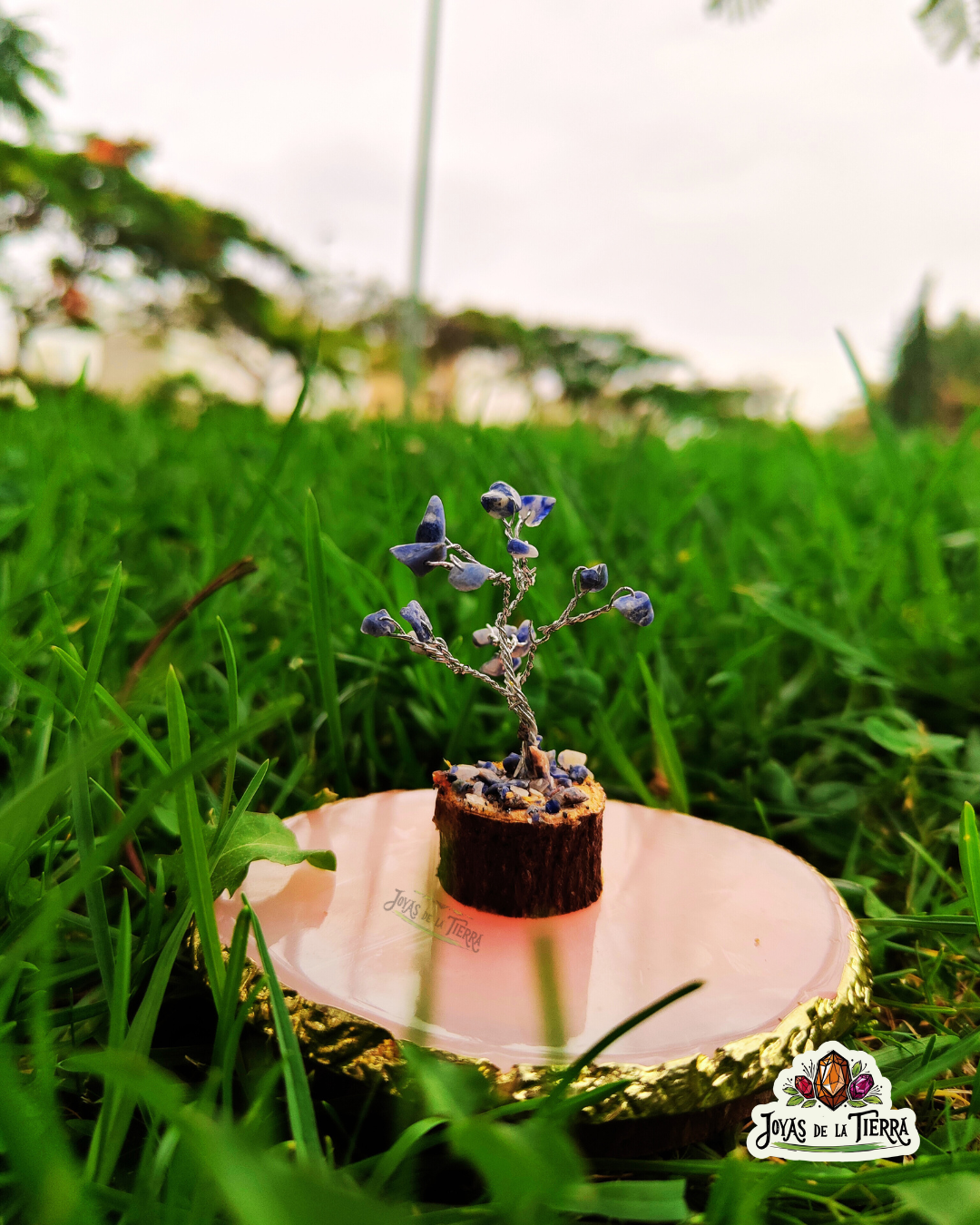 🌳 Mini Árboles Energéticos de 6 cm – Magia en miniatura