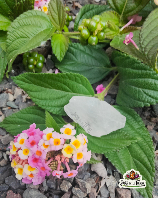 💎✨Cuarzo Blanco