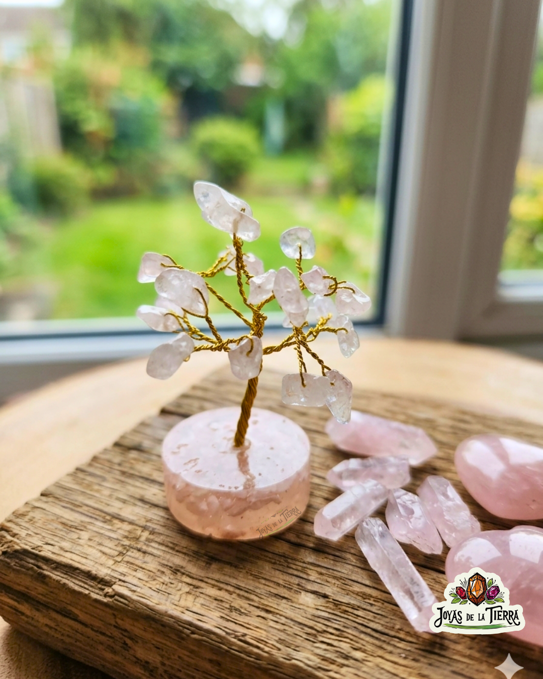 🌳 Mini Árboles Energéticos de 6 cm – Magia en miniatura
