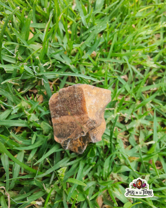 🌟🐅 Ojo de Tigre